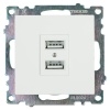 Розетка 2хUSB Stekker Катрин белый GLS10-7115-01 39686
