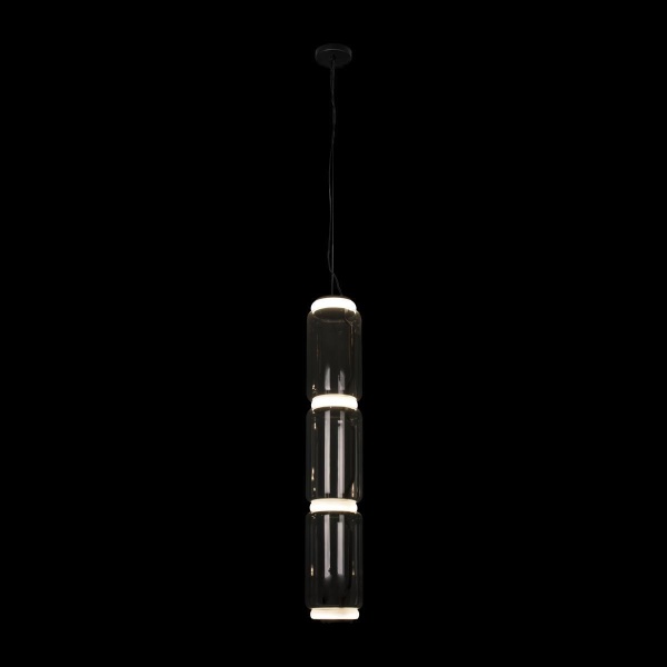 Подвесной светодиодный светильник Loft IT Noctambule 10194/L