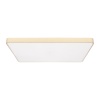 Потолочный светодиодный светильник Loft IT Flims 10228/E