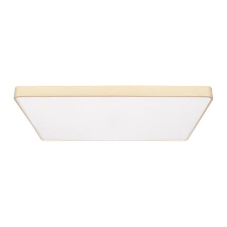 Потолочный светодиодный светильник Loft IT Flims 10228/E