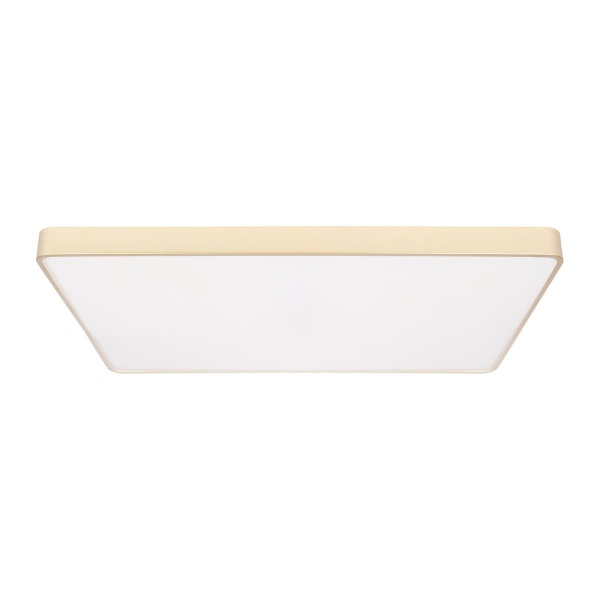 Потолочный светодиодный светильник Loft IT Flims 10228/E