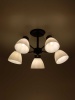 Потолочная люстра Rivoli Aemilia 9185-305 Б0069949