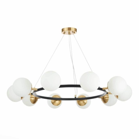 Подвесная люстра Evoluce FORLI SLE220403-10