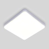 Потолочный светодиодный светильник Elektrostandard DLS043 10W 4200K a047941