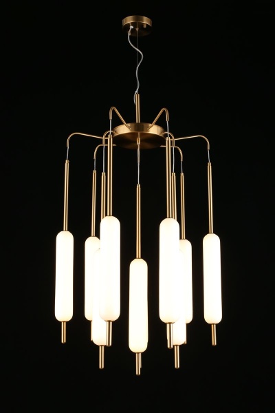 Подвесная светодионая люстра Aployt Carla APL.010.03.80