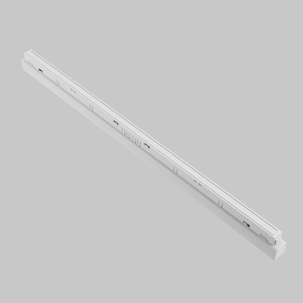 Трековый светодиодный светильник Maytoni Technical Basis TR030-2-24W4K-W