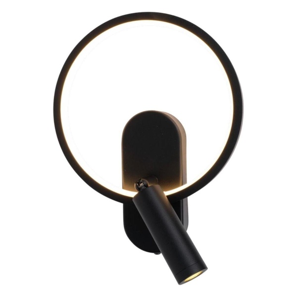 Светильник настенный Aployt Monik APL.346.01.02