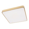 Потолочный светодиодный светильник Loft IT Flims 10228/D