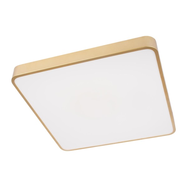 Потолочный светодиодный светильник Loft IT Flims 10228/D