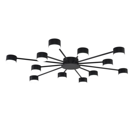 Люстра Lumion COMFI 8344/12C