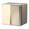 W5020210/ Выключатель двухклавишный влагозащищенный Gallant (шампань рифленый)