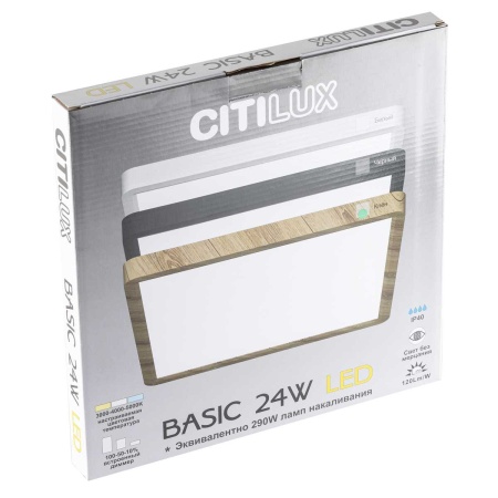 Светильник накладной Citilux Бейсик CL738K242V