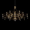 Подвесная люстра Loft IT Mira 10590/1000 Gold Asfour