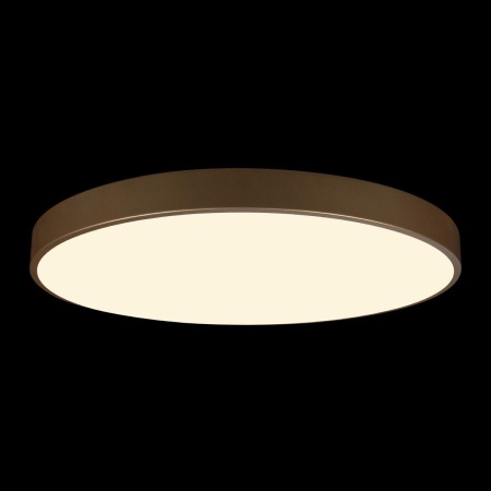 Потолочный светодиодный светильник Loft IT Flims 10228/B