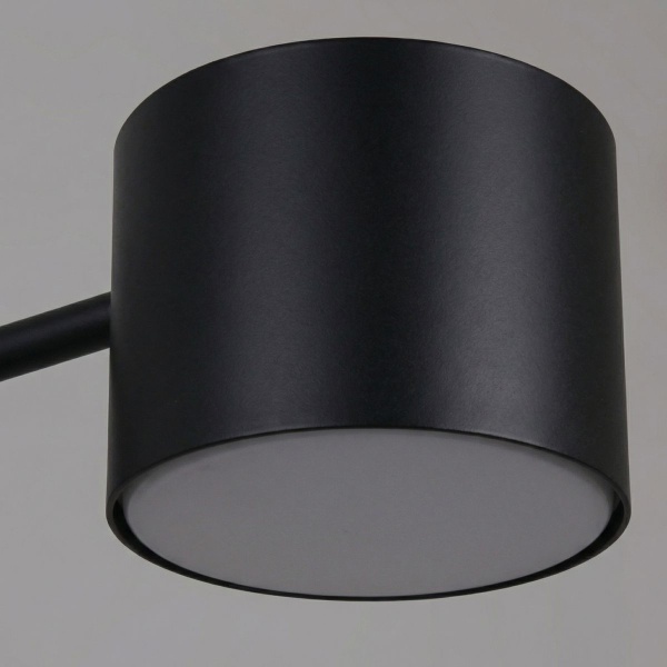 Потолочная люстра Reluce 47206-0.3-06BK