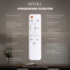 Потолочная светодиодная люстра Rivoli Evlalia 6178-733 Б0068423