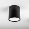 Светильник накладной Lightstar Acuto 215887