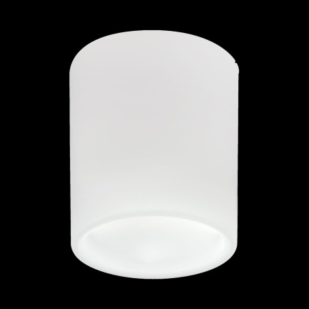 Накладной светильник Lightstar Solido E27 216626