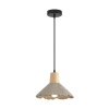 Подвес Lumion EOLIANA 8351/1A
