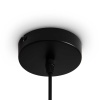 Подвесной светильник Freya Топи / Topi FR5503PL-01B