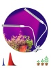 Настольная лампа ЭРА Crocus Fito-20W-Aled Б0039171 Настольная лампа ЭРА Crocus Fito-20W-Aled Б0039171