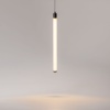 Подвесной светодиодный светильник Maytoni Technical Ray P021PL-L10B
