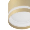 Потолочный светильник Citilux Hardy CL002C12