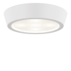 Потолочный светодиодный светильник Lightstar Urbano 214902