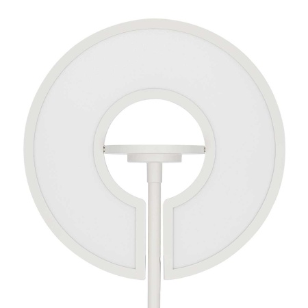 Торшер Citilux Loong CL810030