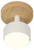 Спот Rivoli Vivian 7078-701 Б0069927