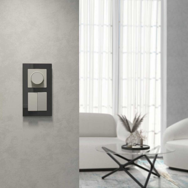 Выключатель двухклавишный проходной (дымчатый) W1222004/ a069458