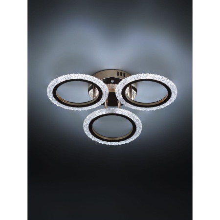 Потолочная светодиодная люстра Rivoli Evlalia 6178-703 Б0068399
