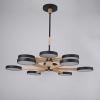 Люстра Imperium Loft TURNA-DBL01 229086-26