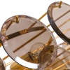 Подвесная люстра Divinare Chloe 7566/01 SP-18 Подвесная люстра Divinare Chloe 7566/01 SP-18