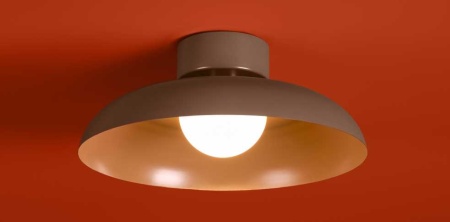 Потолочный светильник Freya Modern Movement FR5602CL-L10BR