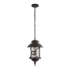 Уличный подвесной светильник Loft IT Prato 100021P