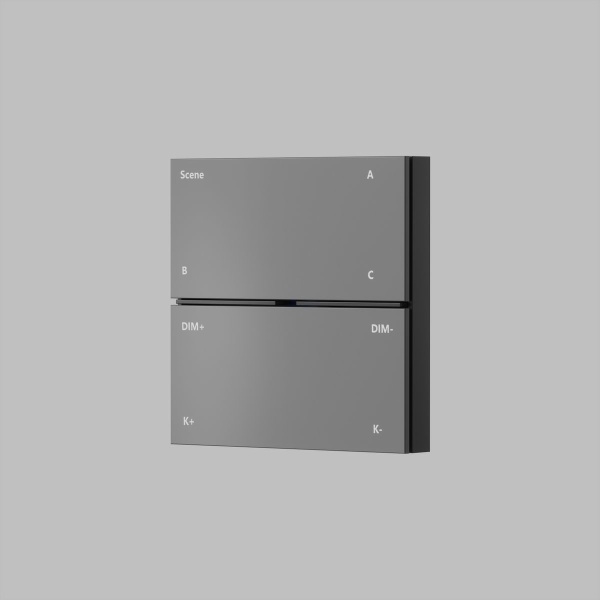 Панель управления Denkirs Control BT DK7201-DG