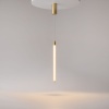 Подвесной светильник Maytoni Ray P022PL-L10MG3K