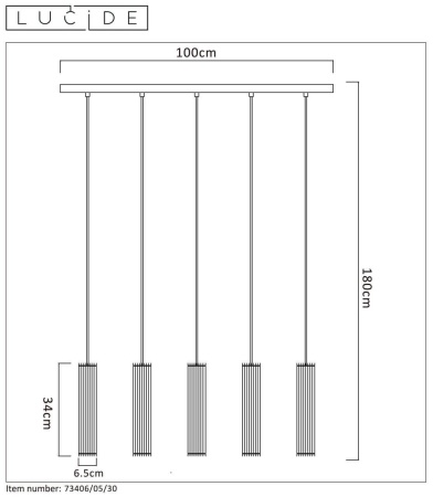 Подвесной светильник Lucide Lionel 73406/05/30
