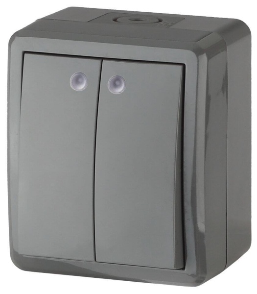 Выключатель двухклавишный с подсветкой ЭРА Эксперт 10AX 250V IP54 11-1405-03 Б0020678 Выключатель двухклавишный с подсветкой ЭРА Эксперт 10AX 250V IP54 11-1405-03 Б0020678