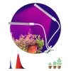 Настольная лампа ЭРА Crocus Fito-20W-Aled Б0039171 Настольная лампа ЭРА Crocus Fito-20W-Aled Б0039171