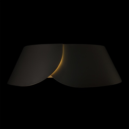 Потолочный светильник LOFT IT Lane 10370 Black