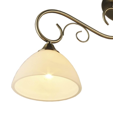 Потолочная люстра Seven Fires Алма 65868.01.05.03