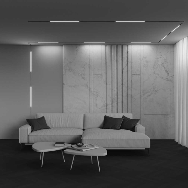 Трековый светильник Maytoni Technical EXILITY X Basis TR240-2-12W3K-B