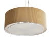 Подвесной светильник Freya Pleating FR5434PL-03BG