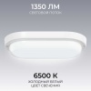 Светильник светодиодный герметичный OGM О28-12