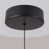 Подвесной светодиодный светильник Maytoni Technical Ray P021PL-L10B