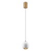 Подвесной светодиодный светильник Crystal Lux Caro SP Led White