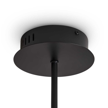 Подвесной светильник Freya Modern FR5557PL-L32B