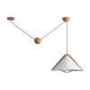 Потолочный светильник Freya Modern FR5554CL-01T